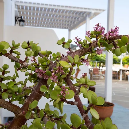 Irini Guest house *
