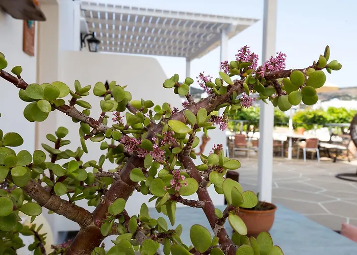 Irini Vendégház 4*